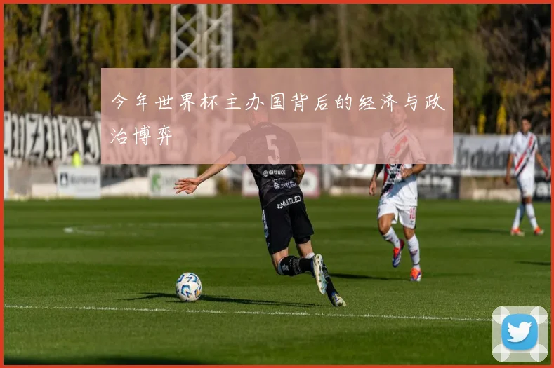 今年世界杯主办国背后的经济与政治博弈