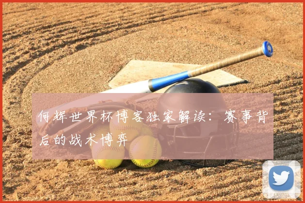 何辉世界杯博客独家解读：赛事背后的战术博弈
