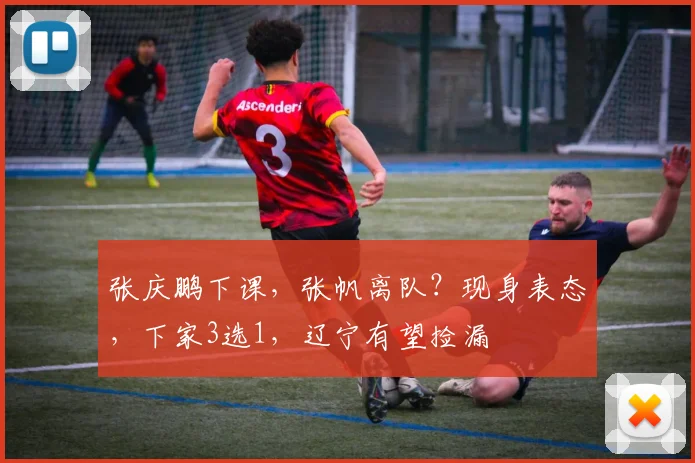 张庆鹏下课，张帆离队？现身表态，下家3选1，辽宁有望捡漏