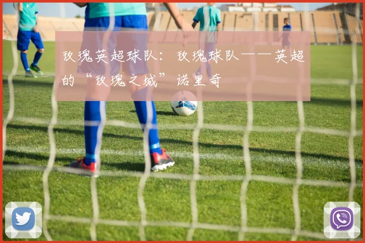 玫瑰英超球队：玫瑰球队——英超的“玫瑰之城”诺里奇