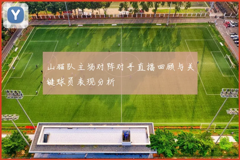山猫队主场对阵对手直播回顾与关键球员表现分析