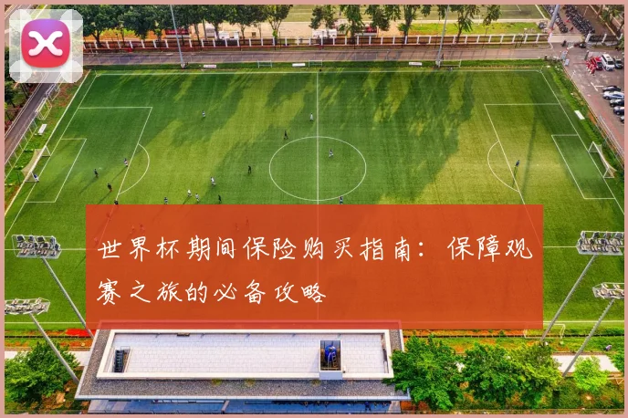 世界杯期间保险购买指南：保障观赛之旅的必备攻略