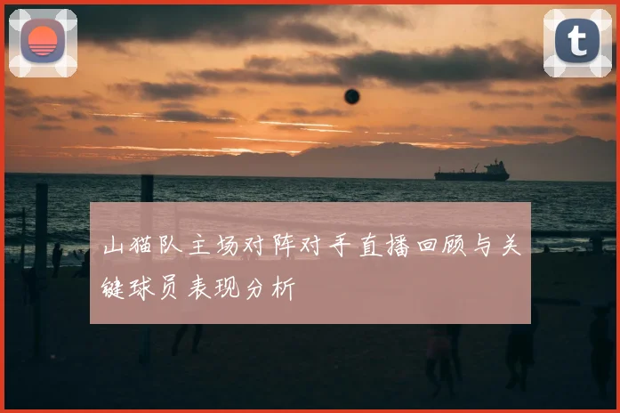 山猫队主场对阵对手直播回顾与关键球员表现分析
