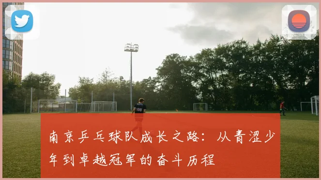 南京乒乓球队成长之路：从青涩少年到卓越冠军的奋斗历程