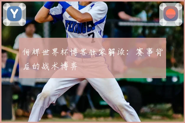 何辉世界杯博客独家解读：赛事背后的战术博弈