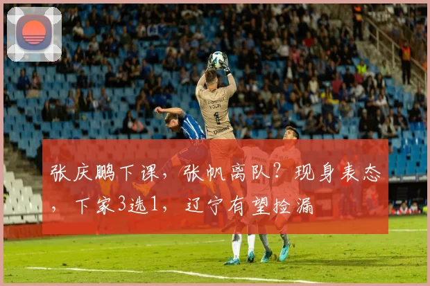 张庆鹏下课，张帆离队？现身表态，下家3选1，辽宁有望捡漏