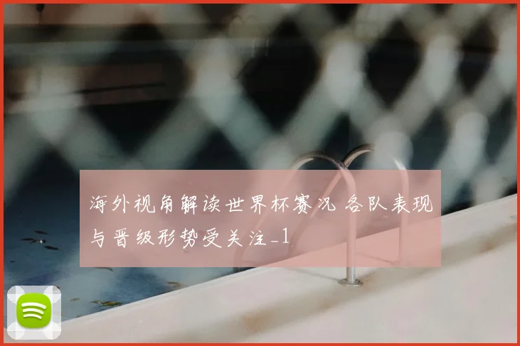 海外视角解读世界杯赛况 各队表现与晋级形势受关注_1