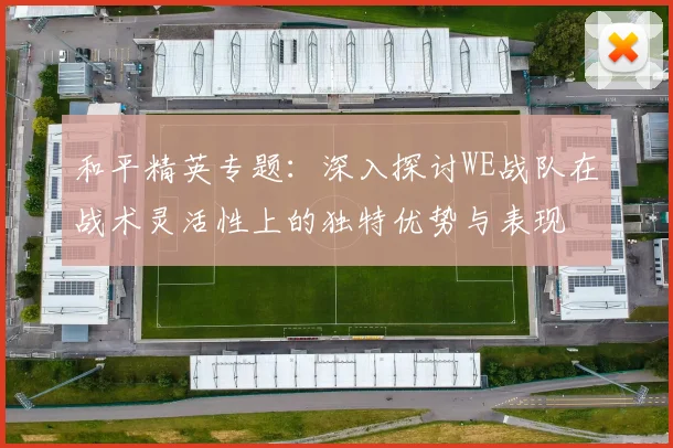 和平精英专题：深入探讨WE战队在战术灵活性上的独特优势与表现