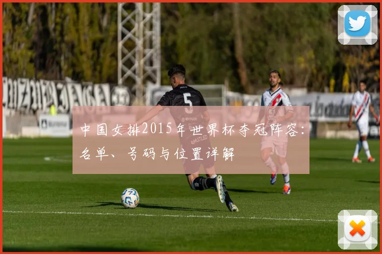 中国女排2015年世界杯夺冠阵容：名单、号码与位置详解