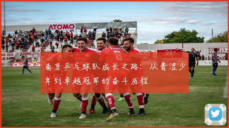 南京乒乓球队成长之路：从青涩少年到卓越冠军的奋斗历程